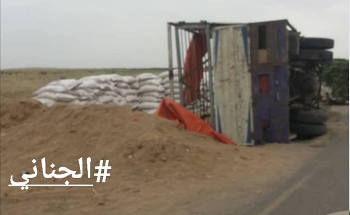 الشرق الأوسط : مليشيات الحوثي تواصل حفر الأنفاق والخنادق في الحديدة