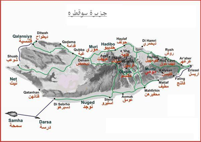 الامارات تسيطر على جزيرة سقطرى عبر “الاتصالات” دون اذن رسمي من الحكومة الشرعية