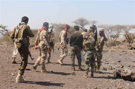 قوات الجيش تستهدف تجمعات مليشيا الحوثي جنوب تعز ومصرع 20 حوثيا