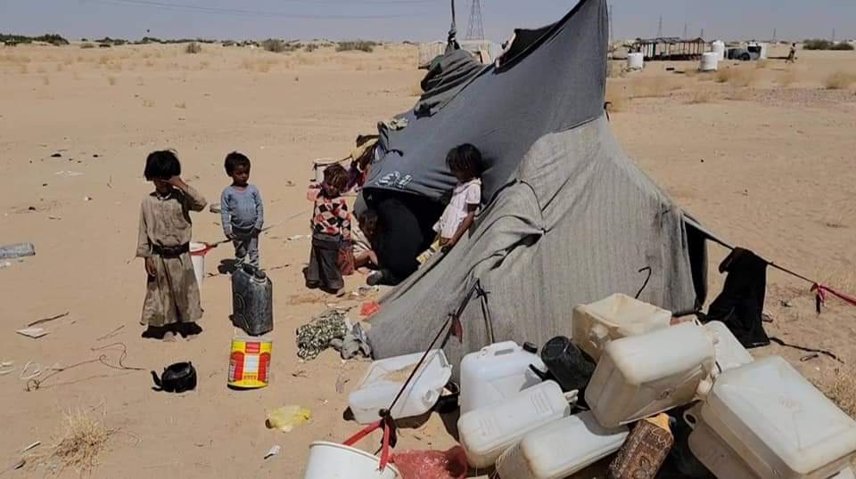 إدارة مخيمات النزوح بمأرب تكشف تهجير مليشيا الحوثي أكثر من 93 ألف شخص خلال شهرين