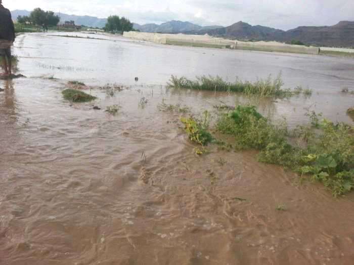 أضرار جسيمة بسبب السيول في قرية الهرمة بمحافظة ذمار