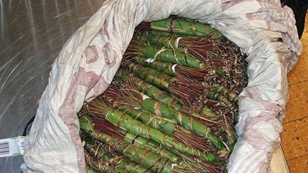 31 مهرب غير يمني.. السعودية تُحبط تهريب 792 كيلو قات عبر الحدود