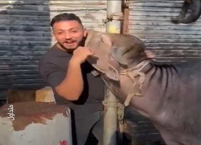بتعيط.. مشهد مؤثر يوثق لحظة وداع بين جزار وأضحيته قبل الذبح