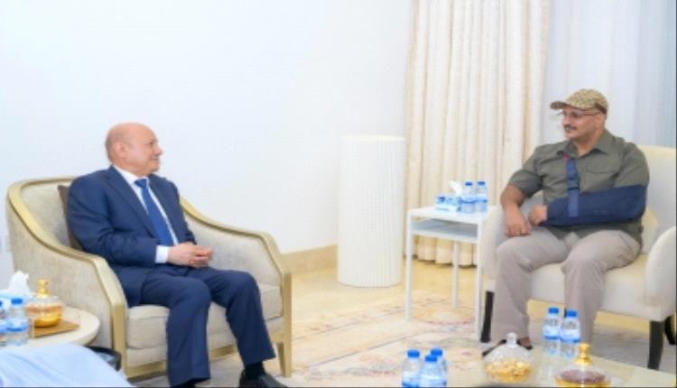 طارق صالح يتهم رشاد العليمي بالإقصاء وإضعاف المؤسسات