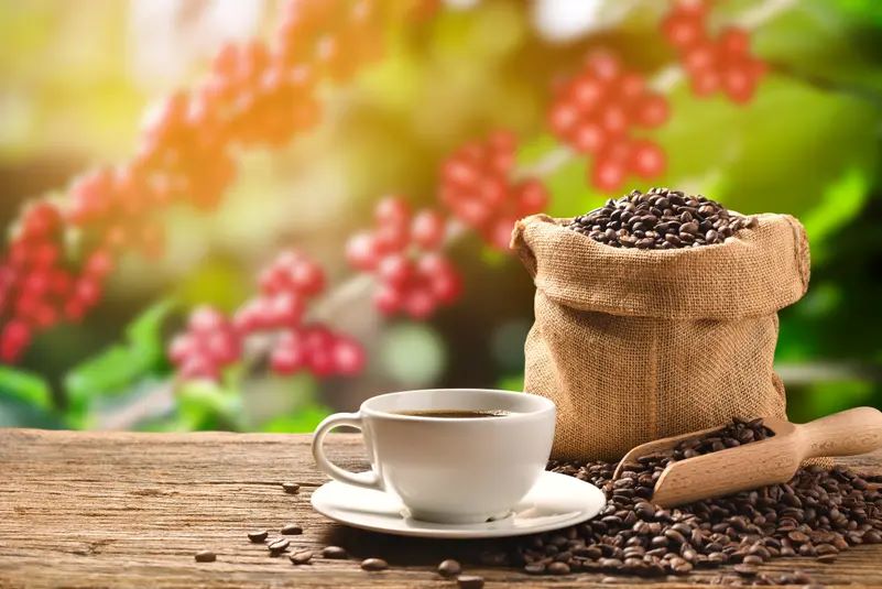 القهوة السادة تقلل خطر الوفاة المبكرة بنسبة 14٪ حسب دراسة جديدة