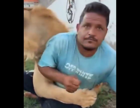 أسد يُطلق على عامل مصري في ليبيا.. ومشاهد صادمة تثير الغضب