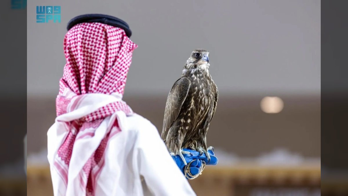 كم بلغت قيمته.. أغلى صقر منغولي في التاريخ يباع بمزاد السعودية بأسعار خيالية