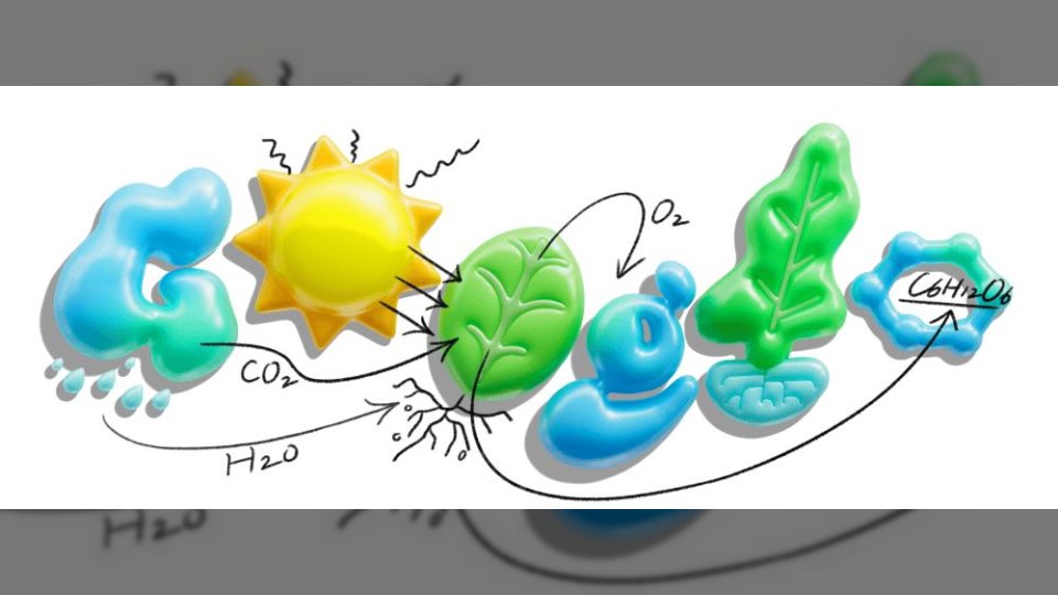 فقط في السعودية ومصر واسبانيا.. جوجل تحتفل بعملية التمثيل الضوئي بدودل تعليمي تفاعلي