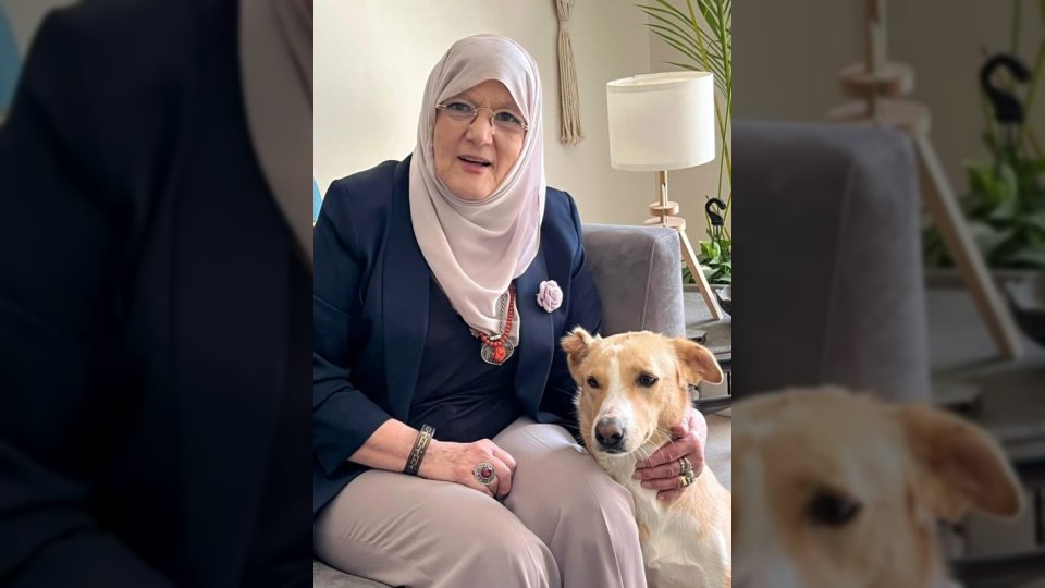 تفاصيل نجاة الفنانة شمس البارودي من حادث سير مروع على كوبري الدقي