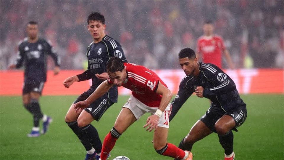 مواجهات نارية في قرعة دوري الأبطال.. ريال مدريد يصطدم ببنفيكا