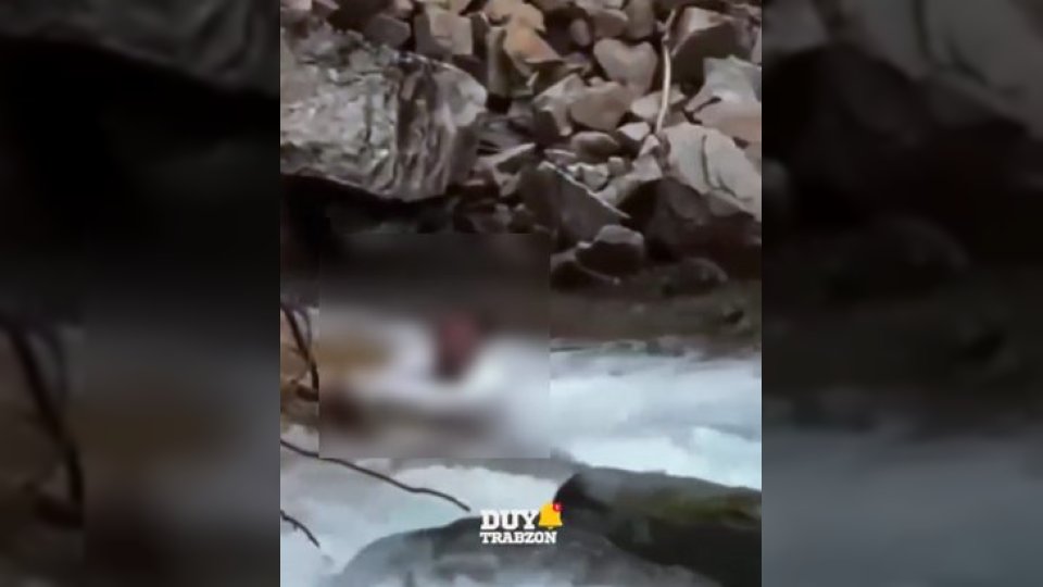 تفاصيل وفاة السائح السعودي عبد العزيز غرقاً في طرابزون التركية.. كيف وقع الحادث؟