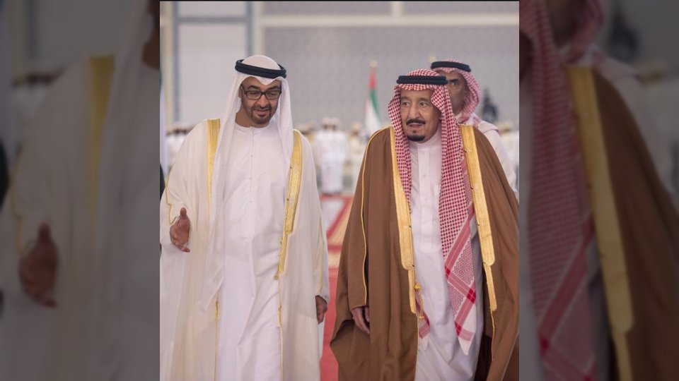 تفاصيل رسالة خطية من محمد بن زايد إلى الملك سلمان